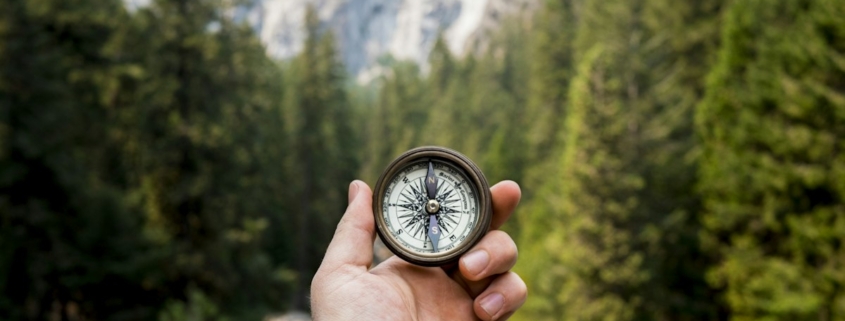 A hand holding an open compass in front of a pine forest and mountain cliffs, representing values as a direction in acceptance and commitment therapy
