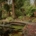 A small wooden footbridge crossing a quiet pond in a green garden, suggesting a gradual crossing over time