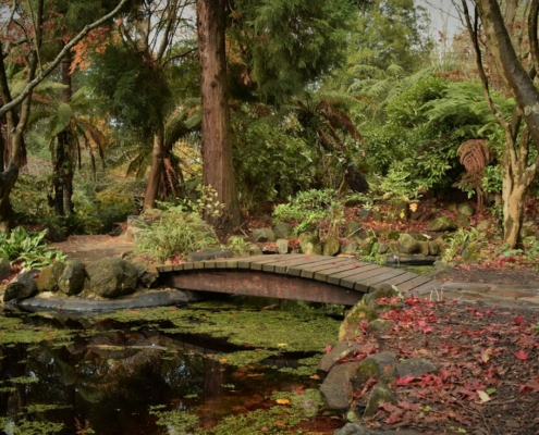 A small wooden footbridge crossing a quiet pond in a green garden, suggesting a gradual crossing over time