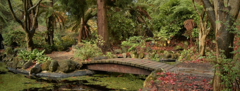 A small wooden footbridge crossing a quiet pond in a green garden, suggesting a gradual crossing over time
