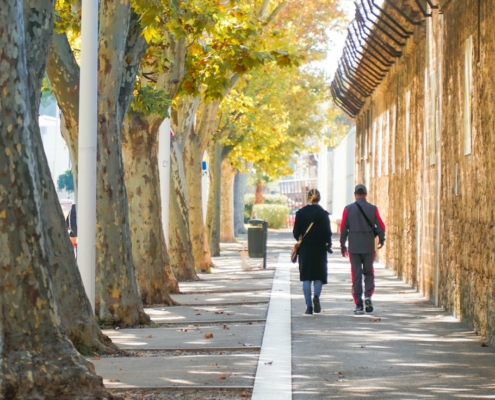 Two people walking together along a sunlit tree-lined path, illustrating gradually rebuilding range in agoraphobia recovery