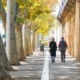 Two people walking together along a sunlit tree-lined path, illustrating gradually rebuilding range in agoraphobia recovery