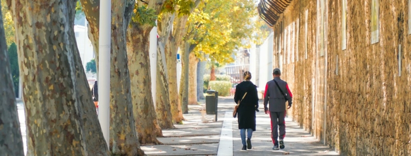 Two people walking together along a sunlit tree-lined path, illustrating gradually rebuilding range in agoraphobia recovery