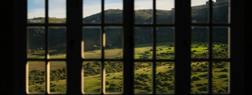 View of sunlit green hills through a multi-paned window from a quiet room