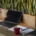 A sunlit home desk with a laptop, notebook and coffee mug beside green plants