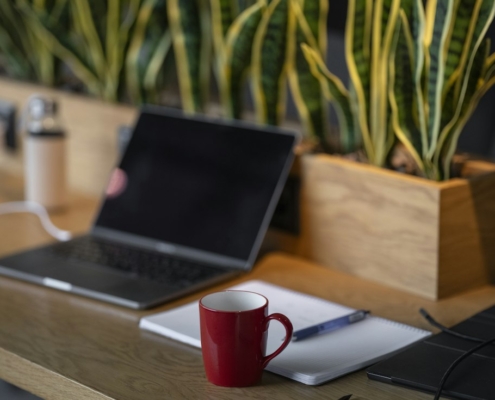 A sunlit home desk with a laptop, notebook and coffee mug beside green plants
