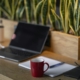 A sunlit home desk with a laptop, notebook and coffee mug beside green plants