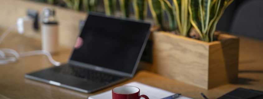 A sunlit home desk with a laptop, notebook and coffee mug beside green plants