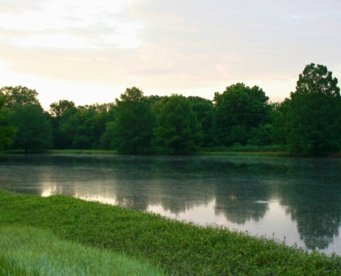 Calm lake at morning with mist and trees reflected on still water