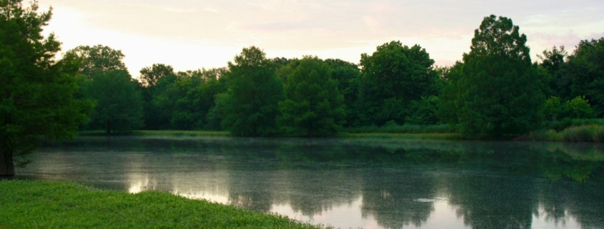 Calm lake at morning with mist and trees reflected on still water