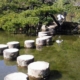 Flat stepping stones crossing a calm, clear garden pond in soft daylight