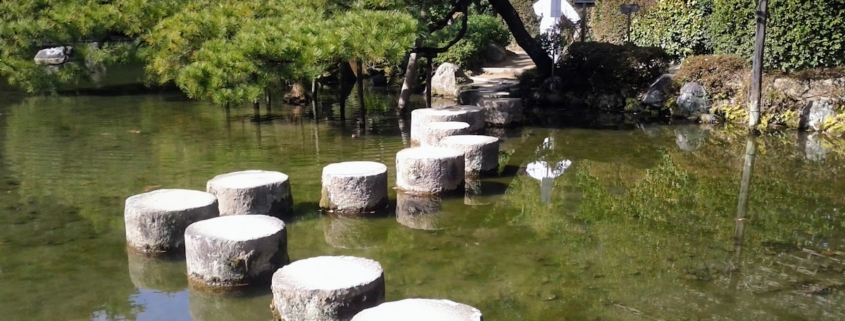 Flat stepping stones crossing a calm, clear garden pond in soft daylight