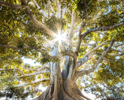 residential OCD treatment peaceful sanctuary for severe obsessive compulsive disorder recovery