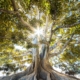 residential OCD treatment peaceful sanctuary for severe obsessive compulsive disorder recovery