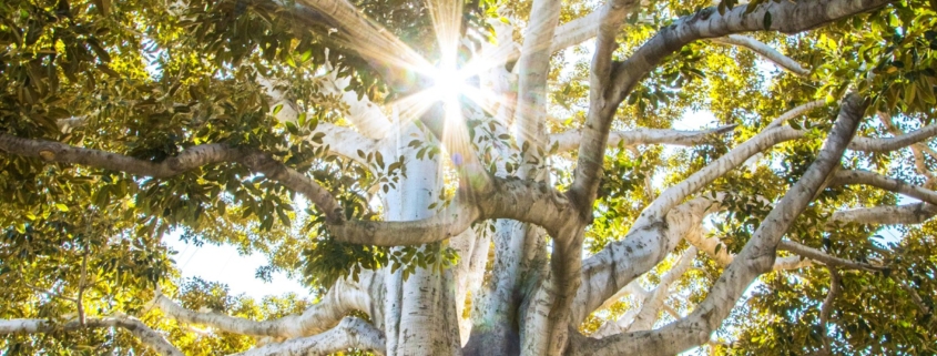 residential OCD treatment peaceful sanctuary for severe obsessive compulsive disorder recovery
