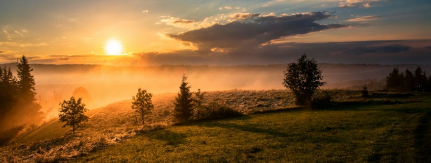 severe anxiety residential mental health treatment peaceful sanctuary morning nature retreat