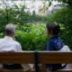 Two people sitting quietly side by side on a wooden bench facing a green lotus pond