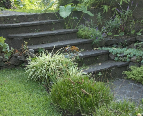 Stone steps leading gently upward through a green garden, representing a gradual step down in levels of care