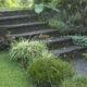 Stone steps leading gently upward through a green garden, representing a gradual step down in levels of care
