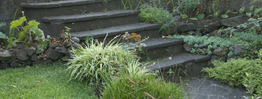 Stone steps leading gently upward through a green garden, representing a gradual step down in levels of care