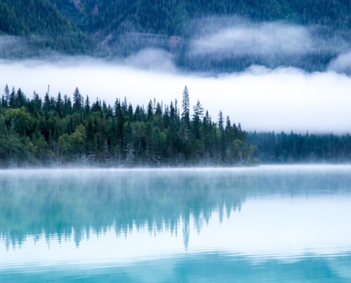 Calm natural setting representing mindful approach to chronic stress and mental health