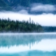 Calm natural setting representing mindful approach to chronic stress and mental health