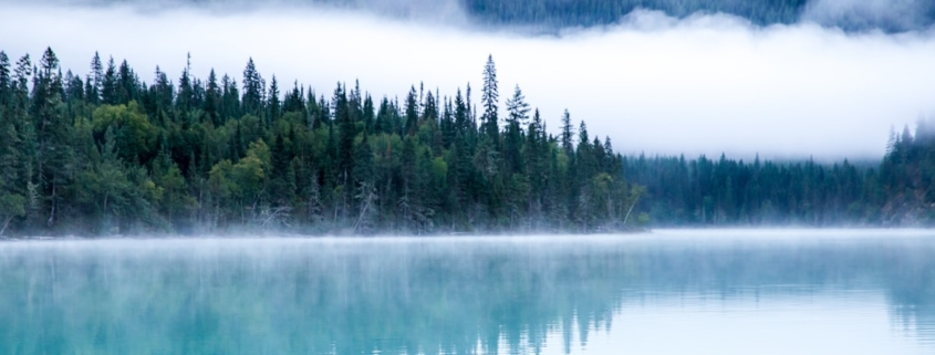 Calm natural setting representing mindful approach to chronic stress and mental health