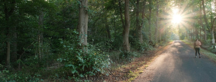 A person walking along a quiet tree-lined road in early morning sunlight